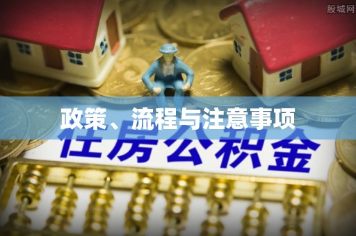 北流政策、流程与注意事项