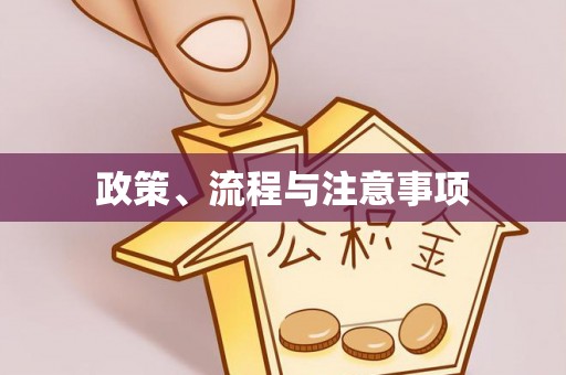 北流政策、流程与注意事项