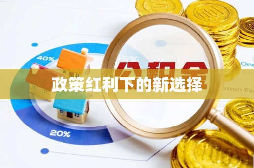 北流政策红利下的新选择