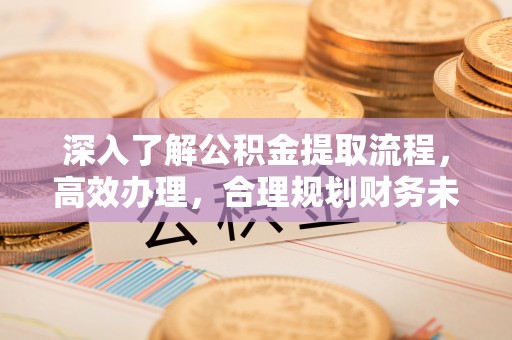 北流深入了解公积金提取流程，高效办理，合理规划财务未来