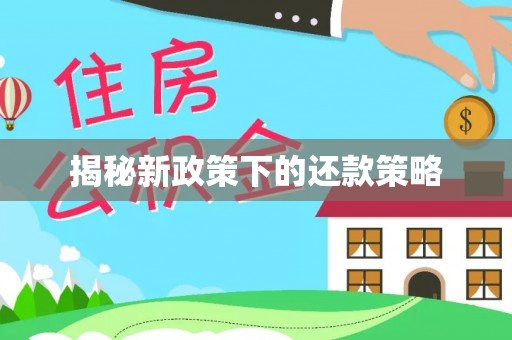 北流揭秘新政策下的还款策略