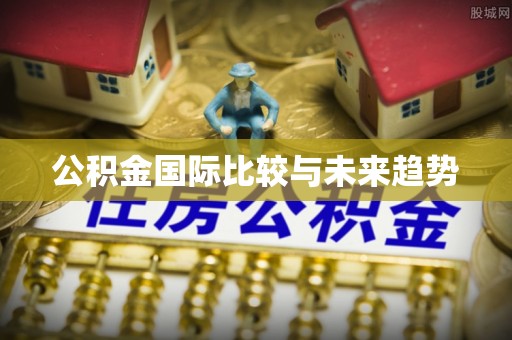 北流公积金国际比较与未来趋势