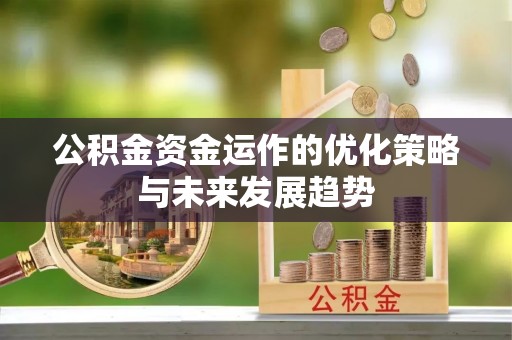 北流公积金资金运作的优化策略与未来发展趋势
