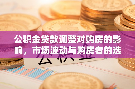 北流公积金贷款调整对购房的影响，市场波动与购房者的选择