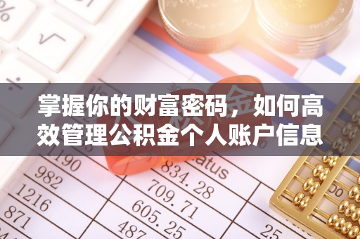 北流掌握你的财富密码，如何高效管理公积金个人账户信息