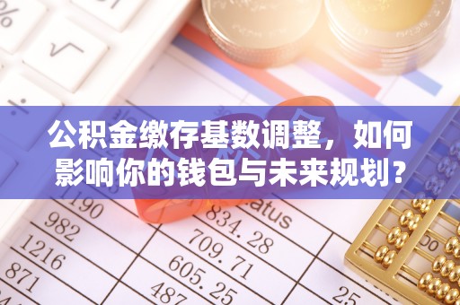 北流公积金缴存基数调整，如何影响你的钱包与未来规划？