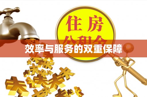 北流效率与服务的双重保障