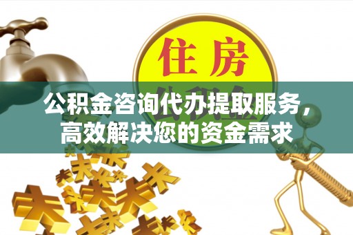北流公积金咨询代办提取服务，高效解决您的资金需求