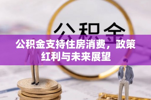 北流公积金支持住房消费，政策红利与未来展望