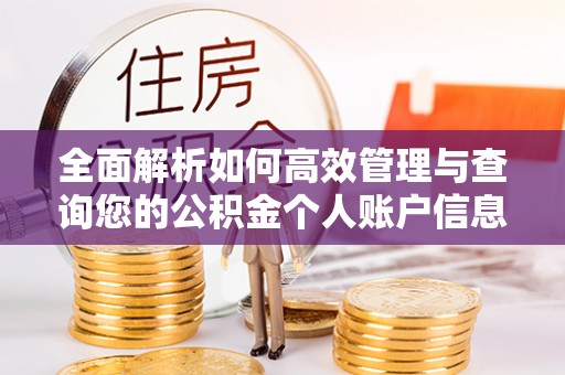 北流全面解析如何高效管理与查询您的公积金个人账户信息