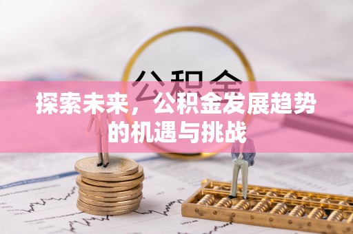 北流探索未来，公积金发展趋势的机遇与挑战