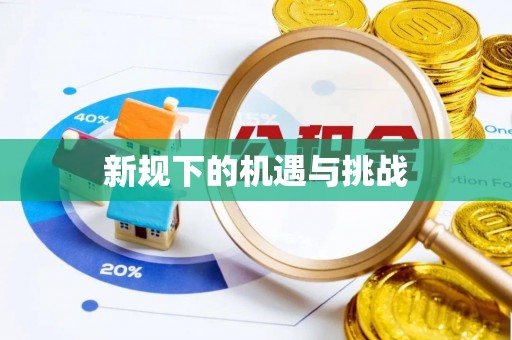 北流新规下的机遇与挑战