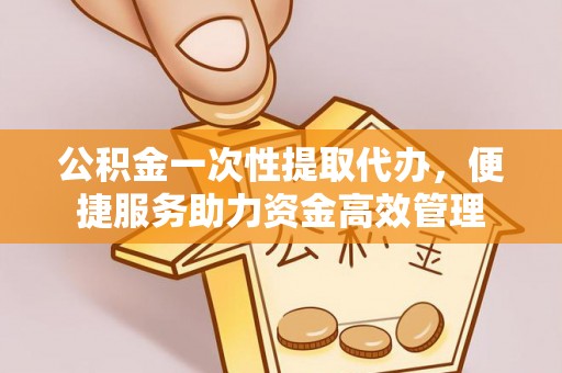 北流公积金一次性提取代办，便捷服务助力资金高效管理
