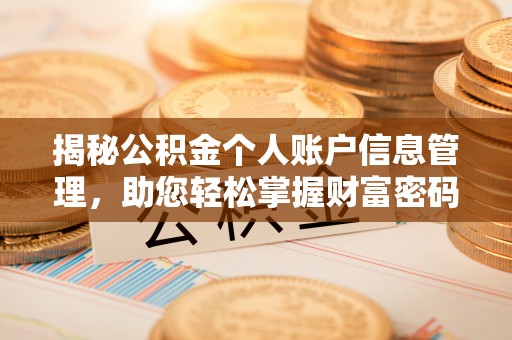 北流揭秘公积金个人账户信息管理，助您轻松掌握财富密码