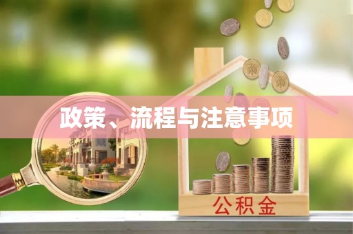 北流政策、流程与注意事项