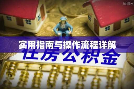 北流实用指南与操作流程详解