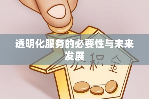 北流透明化服务的必要性与未来发展