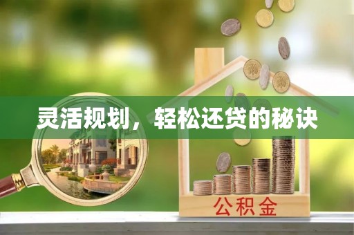 北流灵活规划，轻松还贷的秘诀