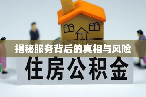 北流揭秘服务背后的真相与风险