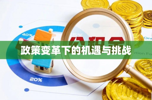 北流政策变革下的机遇与挑战