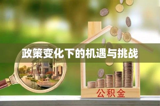 北流政策变化下的机遇与挑战