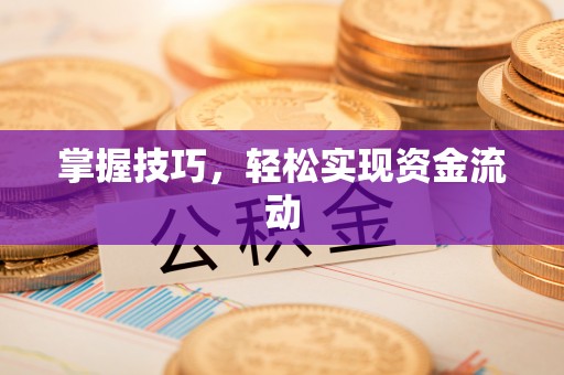 北流掌握技巧，轻松实现资金流动