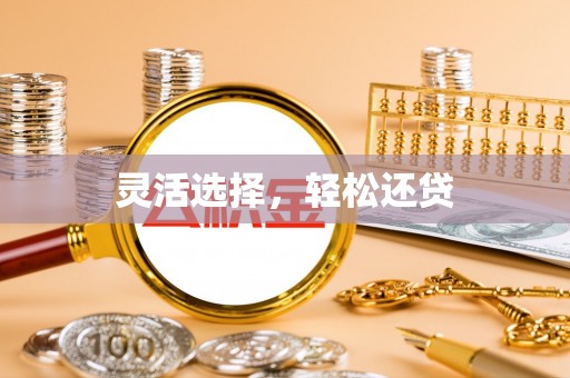 北流灵活选择，轻松还贷
